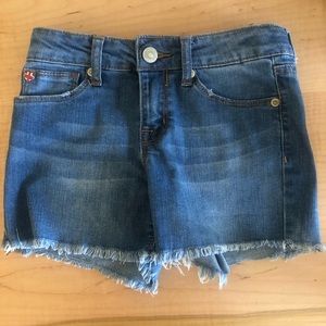 Hudson Jean Shorts